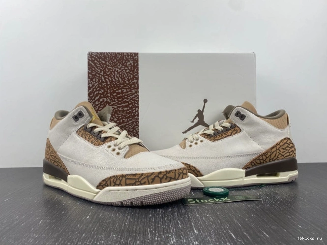 Reps TB Jordan 3 CT8532-102 Air Palomino 0724